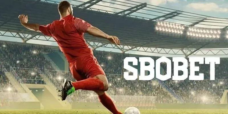 SBO Thể Thao OK9 – Sảnh Cá Cược Uy Tín & Đẳng Cấp Cho Người Chơi 2025 1 Tổng quan về sảnh SBO Thể Thao tại OK9